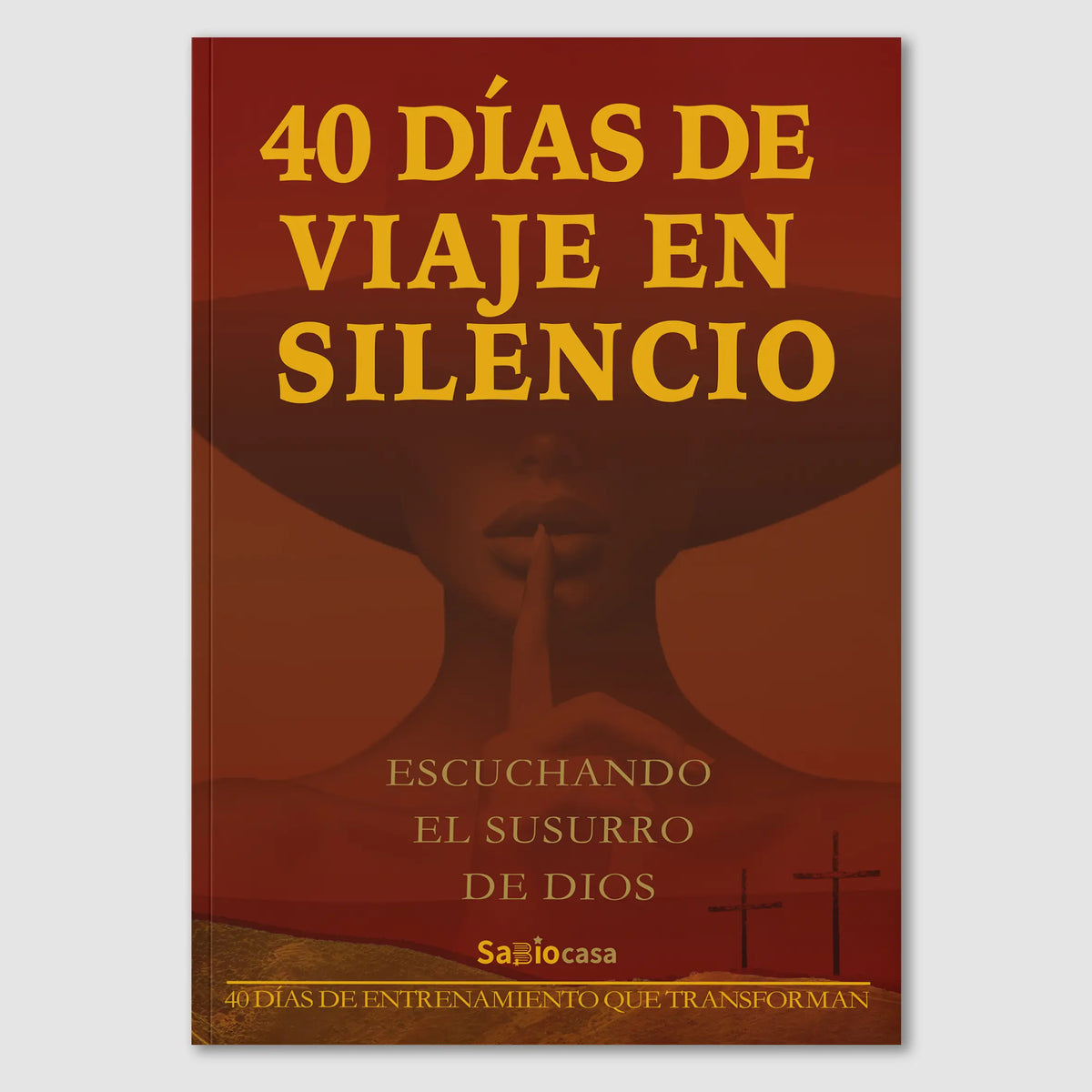 40 Días de Viaje en Silencio book cover